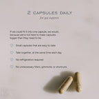 Wholesome Probiotic