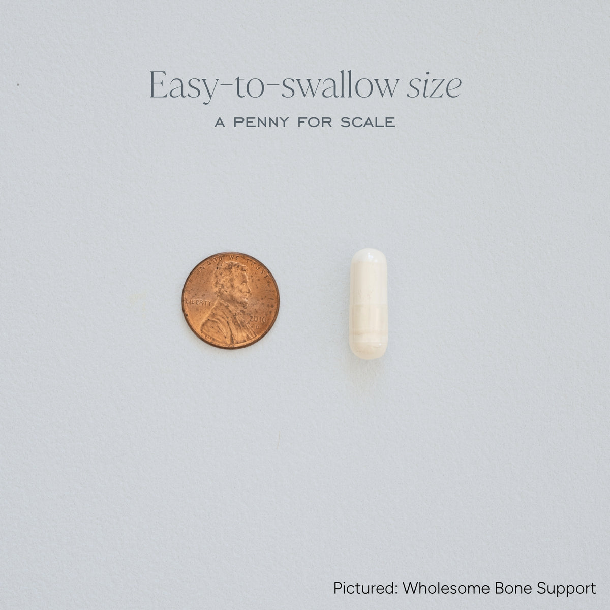 Wholesome Bone Support