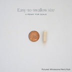Wholesome Men's Multi Refill Pack