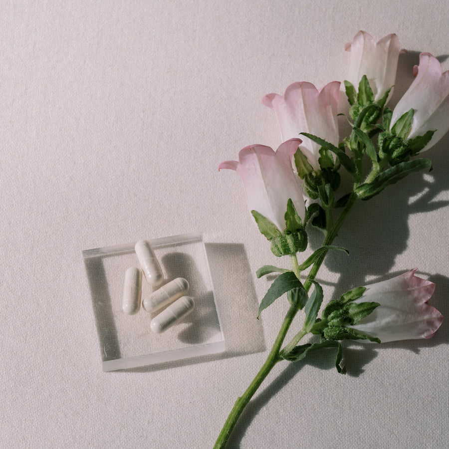 Wholesome Prenatal Multivitamin